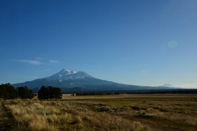 DSC_3002 (Large).JPG